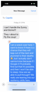 Eaglet Text Drama